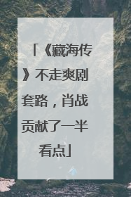 《藏海传》不走爽剧套路，肖战贡献了一半看点