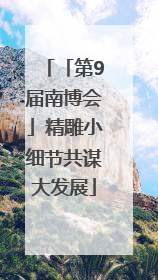「第9届南博会」精雕小细节共谋大发展