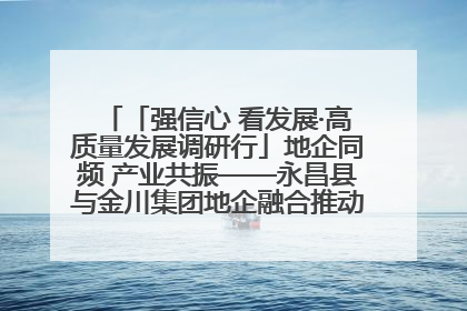 「强信心 看发展·高质量发展调研行」地企同频 产业共振——永昌县与金川集团地企融合推动重大项目建设