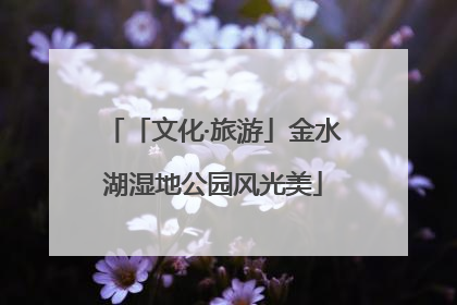 「文化·旅游」金水湖湿地公园风光美
