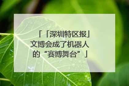 「深圳特区报」文博会成了机器人的“赛博舞台”