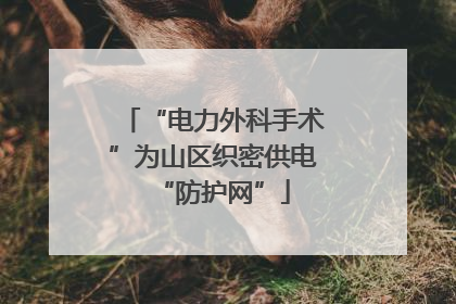 “电力外科手术”为山区织密供电“防护网”