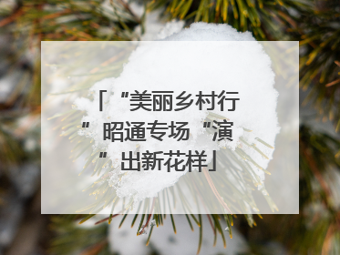 “美丽乡村行”昭通专场“演”出新花样