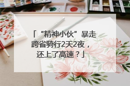 “精神小伙”暴走跨省骑行2天2夜，还上了高速？