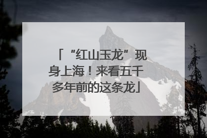 “红山玉龙”现身上海！来看五千多年前的这条龙