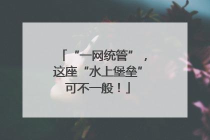 “一网统管”，这座“水上堡垒”可不一般！
