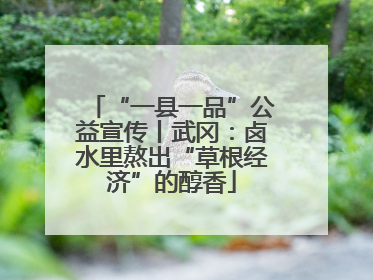 “一县一品”公益宣传丨武冈：卤水里熬出“草根经济”的醇香
