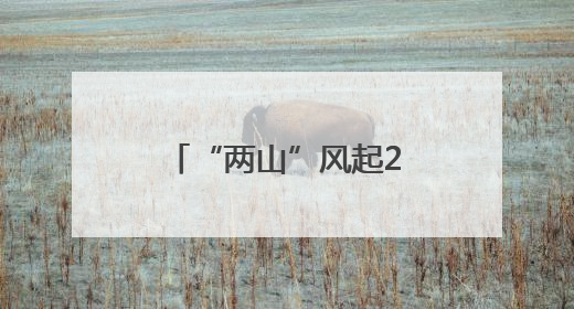“两山”风起20年，浙江缙云的“守绿生金”路
