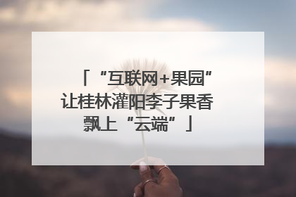 “互联网+果园”让桂林灌阳李子果香飘上“云端”