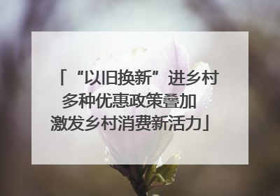 “以旧换新”进乡村 多种优惠政策叠加 激发乡村消费新活力