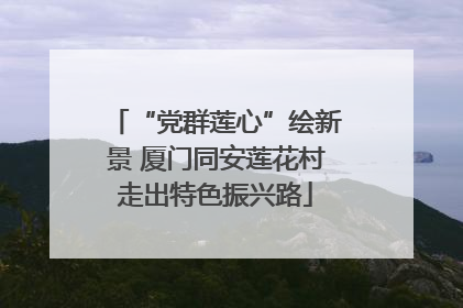 “党群莲心”绘新景 厦门同安莲花村走出特色振兴路