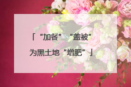 “加餐”“盖被” 为黑土地“增肥”