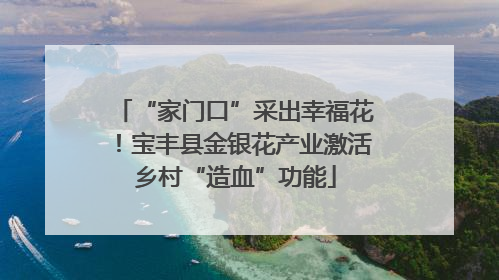 “家门口”采出幸福花！宝丰县金银花产业激活乡村“造血”功能