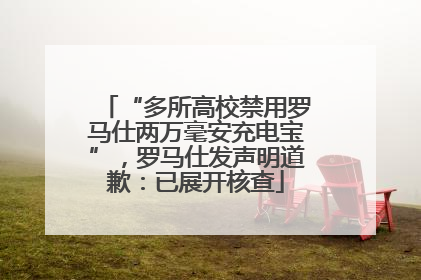“多所高校禁用罗马仕两万毫安充电宝”,罗马仕发声明道歉:已展开核查