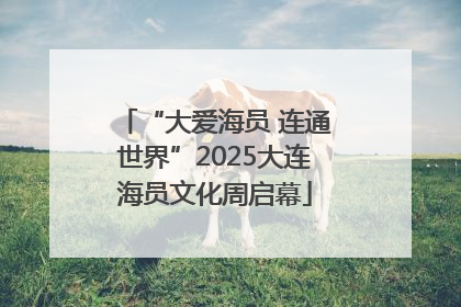 “大爱海员 连通世界”2025大连海员文化周启幕