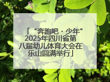 “奔跑吧・少年”2025年四川省第八届幼儿体育大会在乐山圆满举行