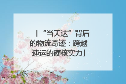 “当天达”背后的物流奇迹：跨越速运的硬核实力
