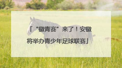 “徽青赛”来了！安徽将举办青少年足球联赛