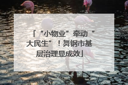 “小物业”牵动“大民生”！舞钢市基层治理显成效