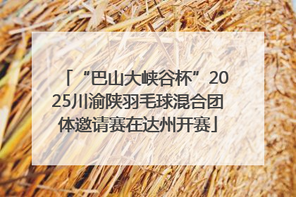 “巴山大峡谷杯”2025川渝陕羽毛球混合团体邀请赛在达州开赛
