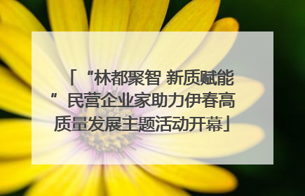 “林都聚智 新质赋能”民营企业家助力伊春高质量发展主题活动开幕