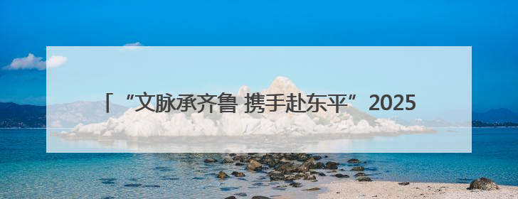 “文脉承齐鲁 携手赴东平”2025东平湖文旅走进济宁推介会圆满举办