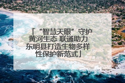 “智慧天眼”守护黄河生态 联通助力东明县打造生物多样性保护新范式