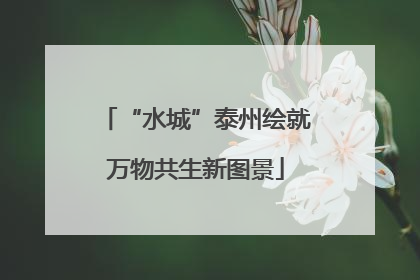 “水城”泰州绘就万物共生新图景