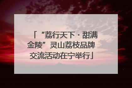 “荔行天下・甜满金陵”灵山荔枝品牌交流活动在宁举行
