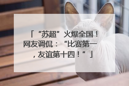 “苏超”火爆全国！网友调侃：“比赛第一，友谊第十四！”