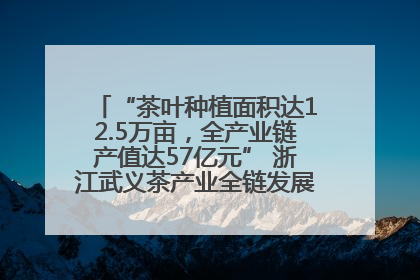 “茶叶种植面积达12.5万亩，全产业链产值达57亿元” 浙江武义茶产业全链发展“加速度”
