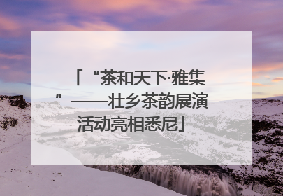 “茶和天下·雅集”——壮乡茶韵展演活动亮相悉尼