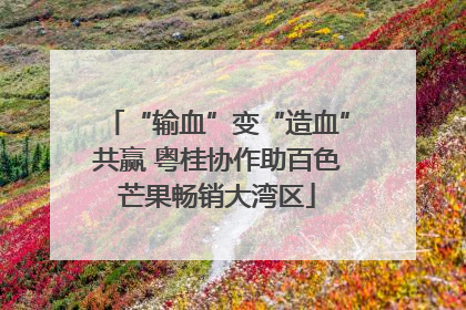 “输血”变“造血”共赢 粤桂协作助百色芒果畅销大湾区