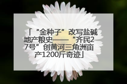 “金种子”改写盐碱地产粮史——“齐民27号”创黄河三角洲亩产1200斤奇迹