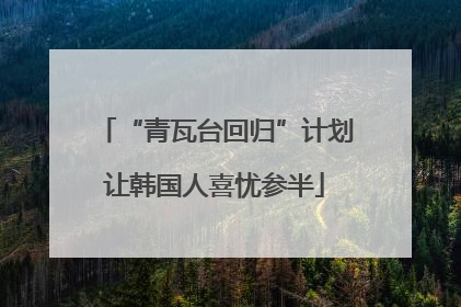 “青瓦台回归”计划让韩国人喜忧参半