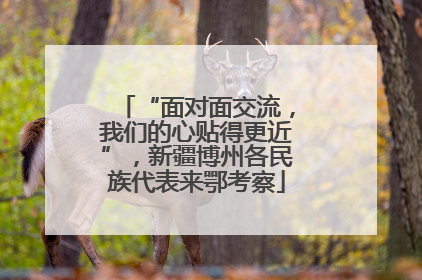 “面对面交流，我们的心贴得更近”，新疆博州各民族代表来鄂考察