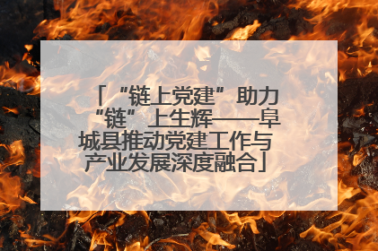 “链上党建”助力“链”上生辉——阜城县推动党建工作与产业发展深度融合