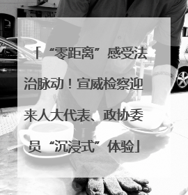 “零距离”感受法治脉动！宣威检察迎来人大代表、政协委员“沉浸式”体验