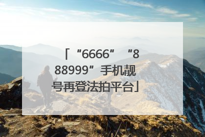 “6666”“888999”手机靓号再登法拍平台