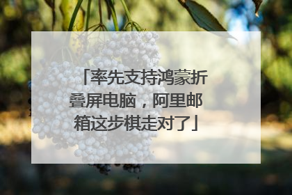 率先支持鸿蒙折叠屏电脑，阿里邮箱这步棋走对了