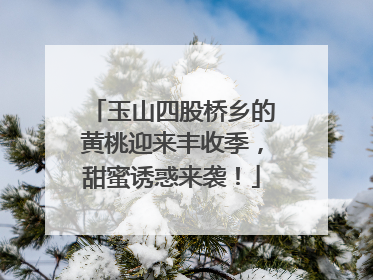 玉山四股桥乡的黄桃迎来丰收季，甜蜜诱惑来袭！