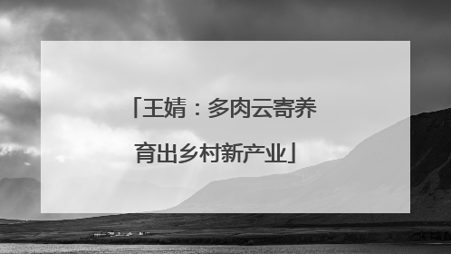 王婧：多肉云寄养 育出乡村新产业