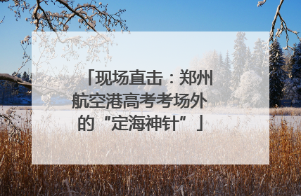 现场直击：郑州航空港高考考场外的“定海神针”