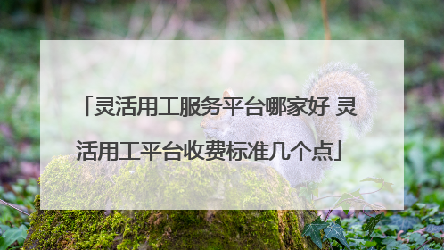 灵活用工服务平台哪家好 灵活用工平台收费标准几个点