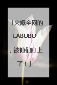 火爆全网的LABUBU，被他们盯上了！