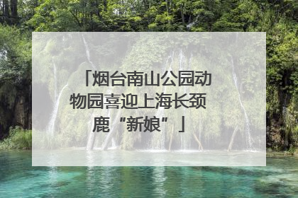 烟台南山公园动物园喜迎上海长颈鹿“新娘”