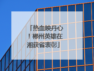 热血映丹心！郴州英雄在湘获省表彰