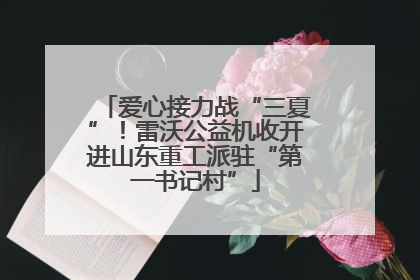 爱心接力战“三夏”！雷沃公益机收开进山东重工派驻“第一书记村”