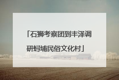 石狮考察团到丰泽调研蟳埔民俗文化村
