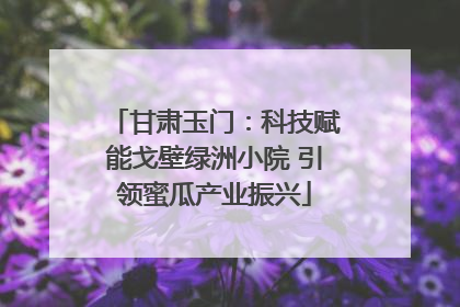 甘肃玉门：科技赋能戈壁绿洲小院 引领蜜瓜产业振兴